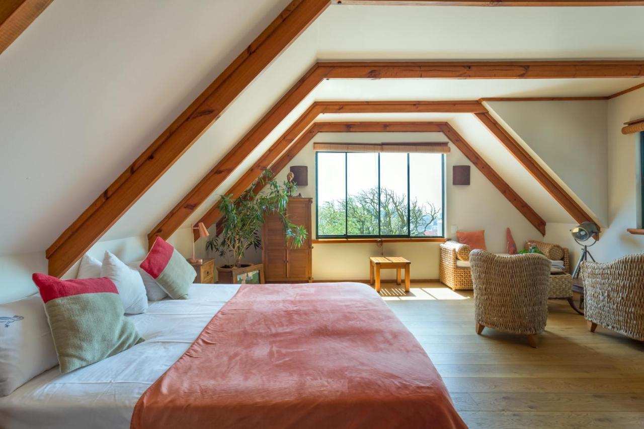 Lezard Bleu Guest House ケープタウン エクステリア 写真