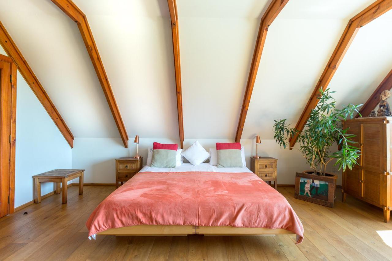 Lezard Bleu Guest House ケープタウン エクステリア 写真